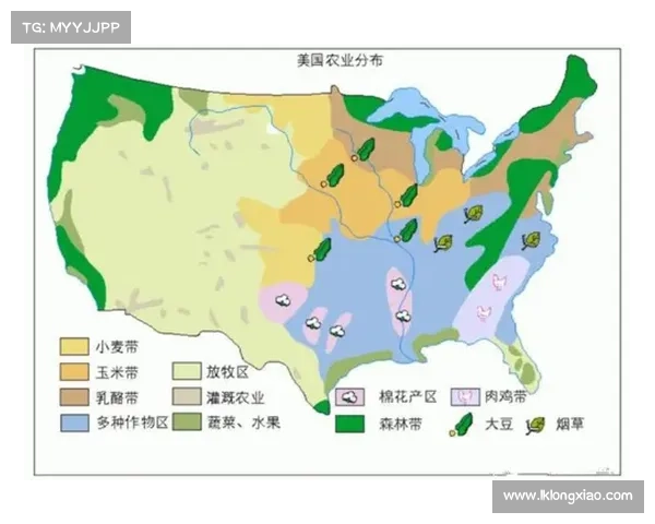 基于加拿大28预算分析探讨其对经济发展的深远影响 基于加拿大28预算分析探讨其对经济发展的深远影响